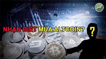 Cách nhận biết MÙA ALTCOIN | Uptrend cần làm gì? ALden Nguyen