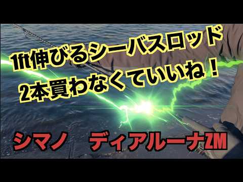 小場所用と汎用の2本買う必要がなくなってお金が浮くディアルーナZM