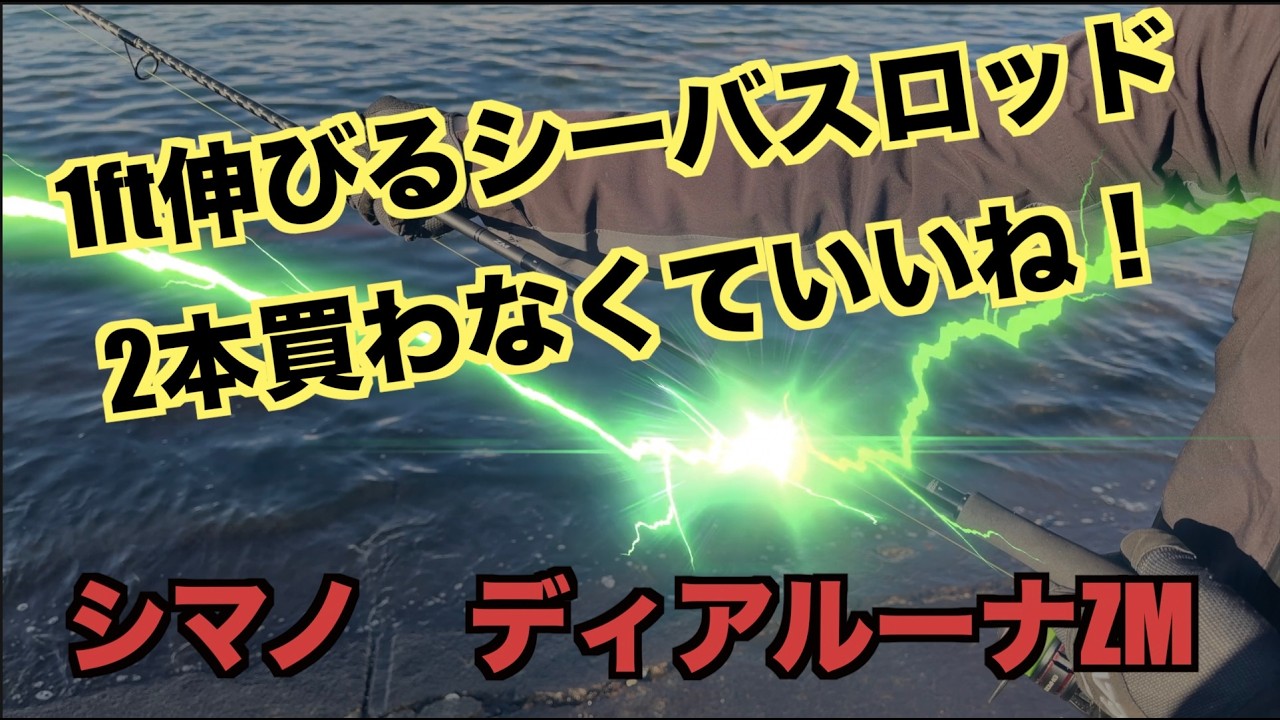 Dialuna ZM saves money by eliminating the need to buy two rods