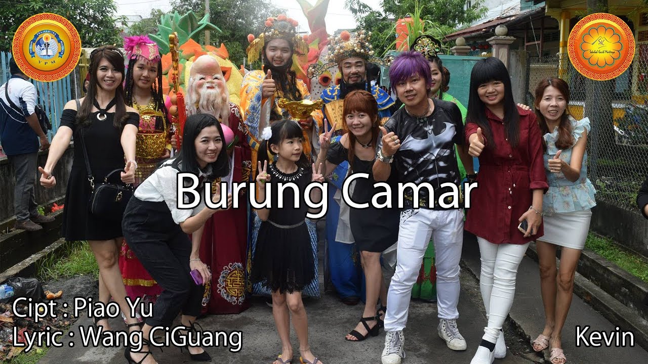 Burung Camar Skm Youtube