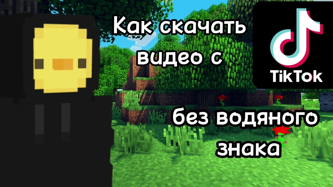 скачать виде с тик тока