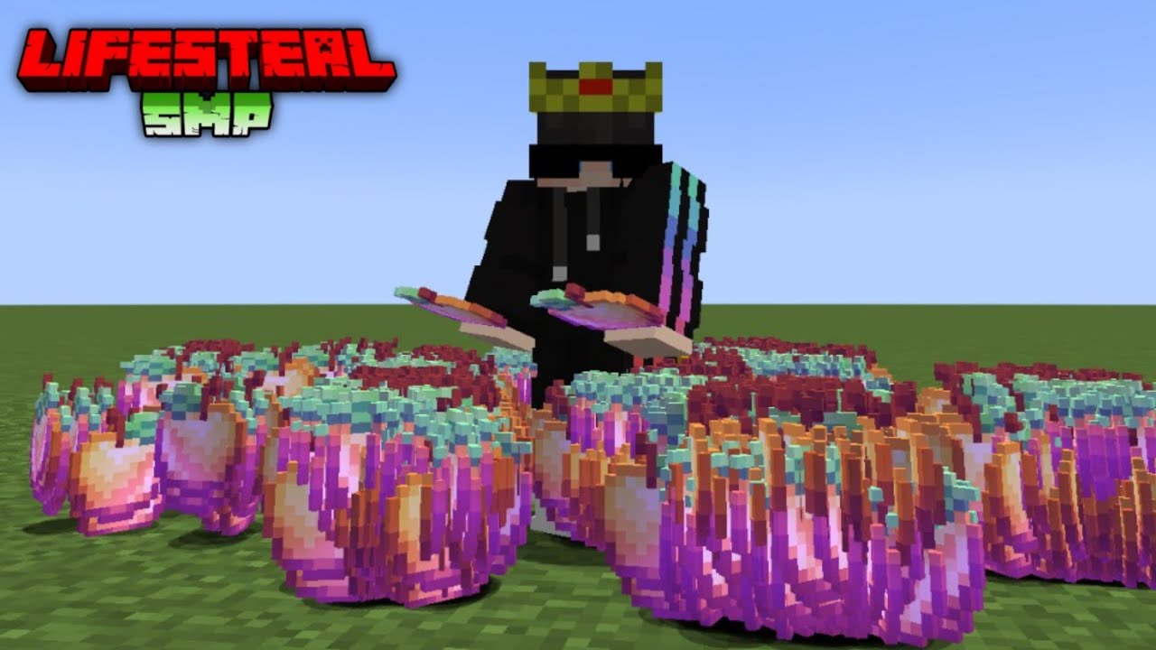 I Became Most Strongest Player On This Deadliest LIFESTEAL SMP in 24 ...