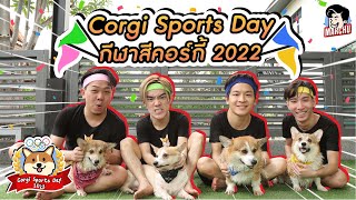 Corgi Sports Day ชิงตำแหน่งสุดยอดคอร์กี้ประจำปี 2022 | MARCHU EP.76