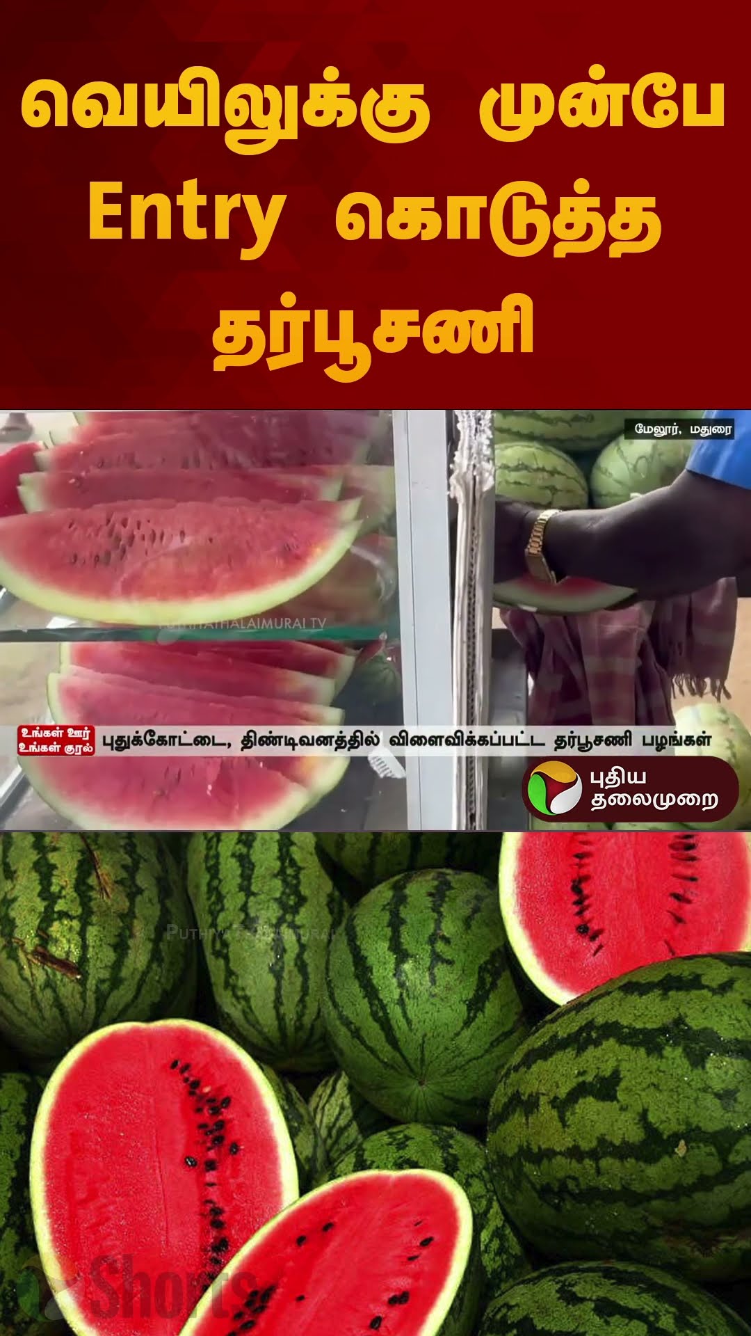 வெயிலுக்கு முன்பே Entry கொடுத்த தர்பூசணி | #watermelon | #sunny | #shorts
