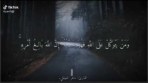 القارئ ماهر المعيقلي ..ومن يتق الله يجعل له مخرجا....