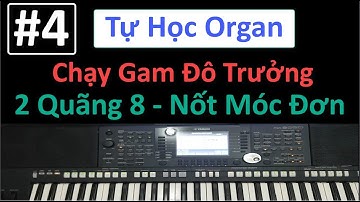 #4 | Chạy Gam 2 Quãng Tám Kết Hợp 2 Tay | Tự Học Organ | Tuấn Lưu Organ |