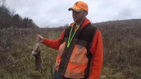 How to gut a Rabbit: QUICK AND EASY!