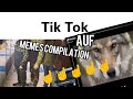 ЛУЧШИЕ ТИКТОК АУФ МЕМЫ //WEBM TIKTOK AUF MEMES COMPILATION 8