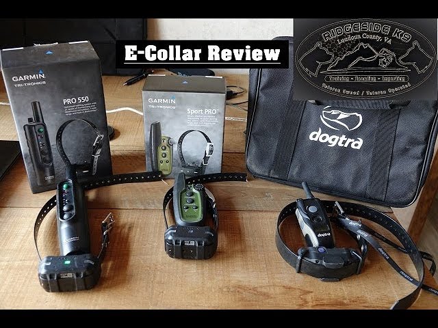 garmin sport dog pro