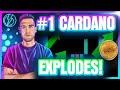 CARDANO TAKES OFF AS ADA PRICE EXPLODES!