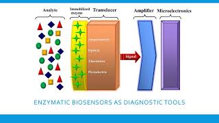Enzymes as Diagnostics|Clinical Use of Enzymes|Biosensors