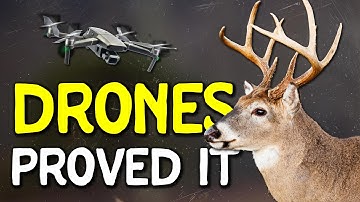 Drone Study Shows Mature Bucks Avoiding Hunters in Surprising Ways