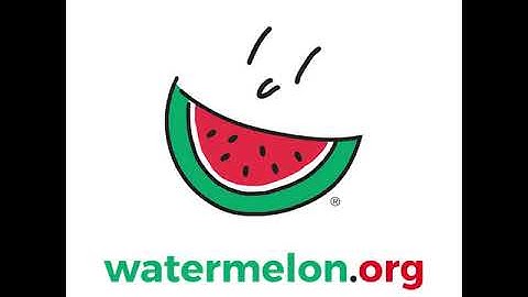 How to Make Watermelon Juice