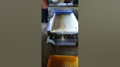 Das Electronics Metal Detector use in M. Madhavaraya Prabhu, Mangalore for Cashew Nut