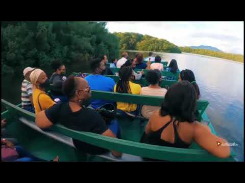 Tourgether Virtual Island Tour 1: Caroni Swamp