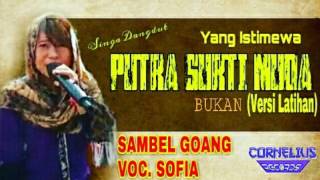 SAMBEL GOANG VOC. SOFIA PUTRA SURTI MUDA ( PSM'MANIA PRODUCTION )