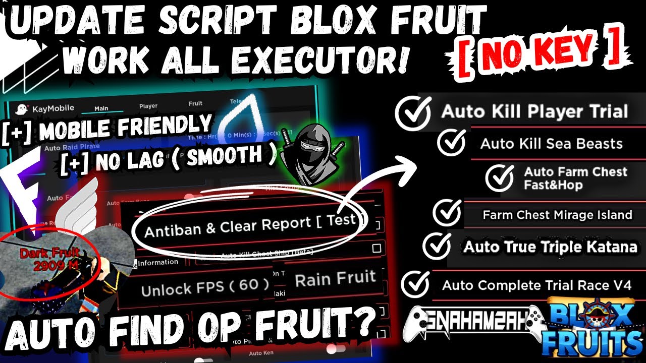 Script Blox Fruits Roblox! AUTO RACE V4 MOBILE