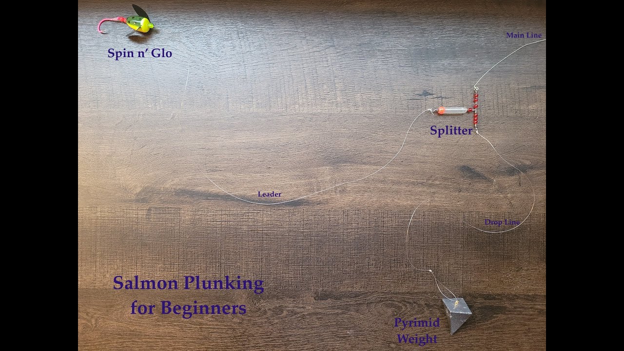 Beginner's Guide: Salmon Fishing Plunking Rig Spin n' Glo (Salmon