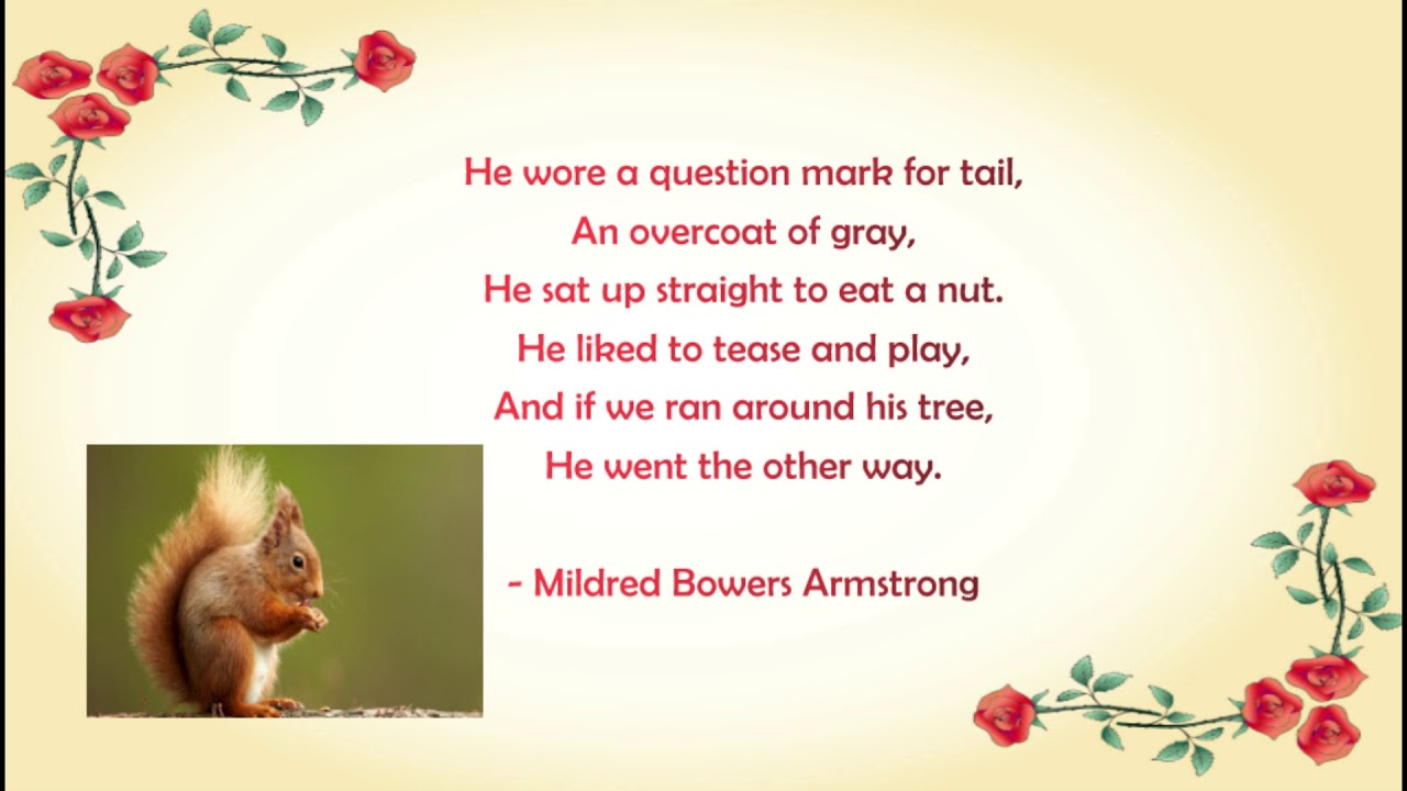 Poem The Squirrel YouTube