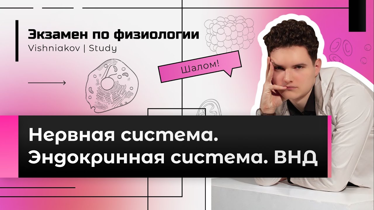 Экзамен по физиологии | Дополнительные вопросы. НЕРВНАЯ СИСТЕМА ...