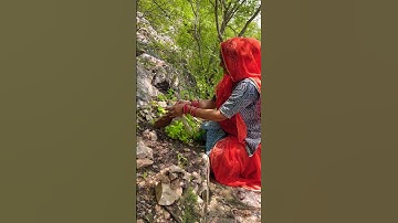 Shiv Shiv Shankara 🚩🚩🚩🚩🚩🚩#youtubeshorts #shortvideo #youtube #shortvideo #short #shorts