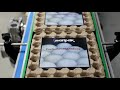 Maripak usa  rls epro  automatic servo driven lsealer  shrink wrapping eggs  see what it does