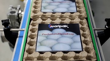 Maripak USA - RLS ePro - Automatic Servo Driven L-Sealer - Shrink Wrapping Eggs - See What It Does!