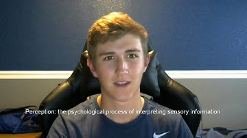 Linguistic relativity and placebo effect