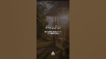 تلاوة خاشعة (سورة التحريم)