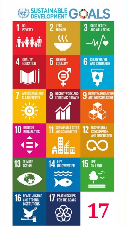 17 sustainable development goal of UN