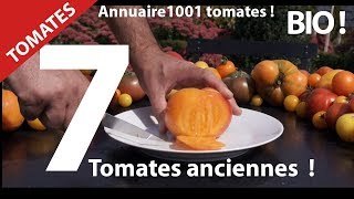 7 Tomates.Tomate ancienne ? Bio Nature et Bonheur et alimentation.Bon appétit.Hurryken Production