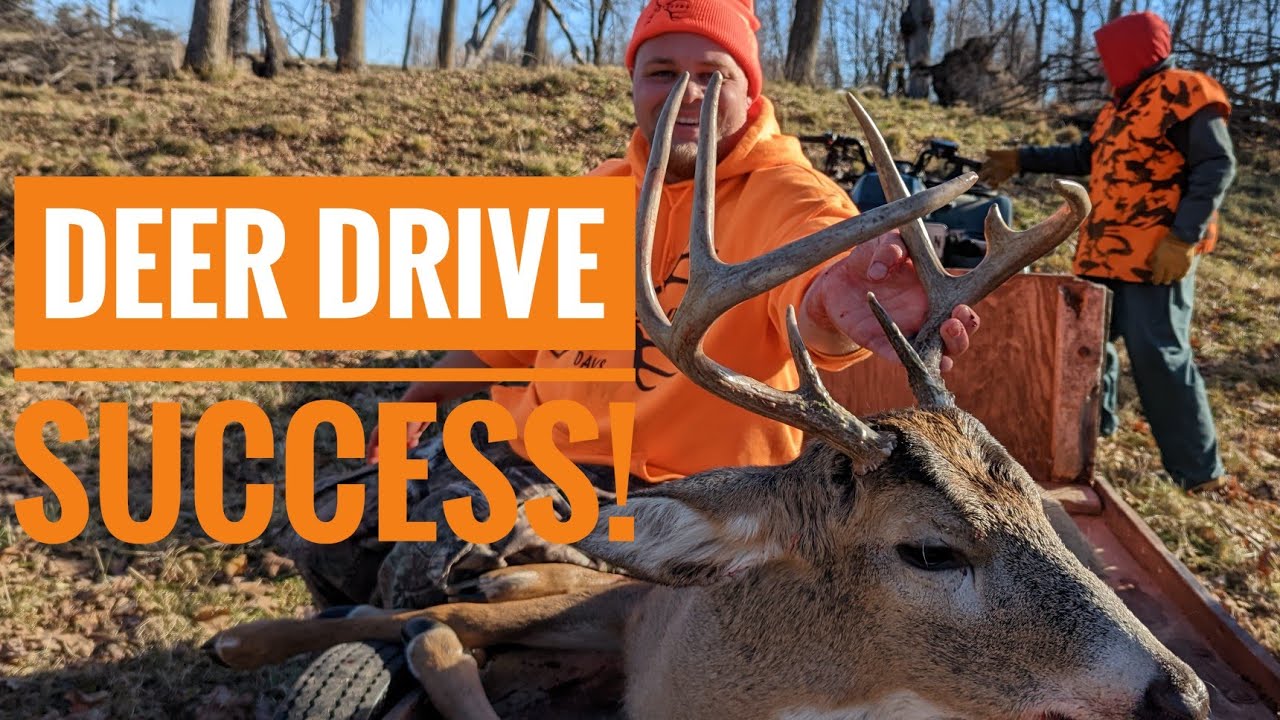 Deer Drive Wisconsin Gun Hunt - YouTube
