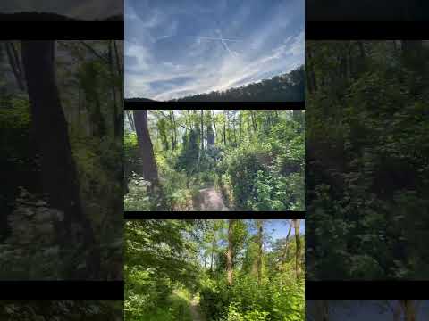 Belgrad Ormanı Doğa