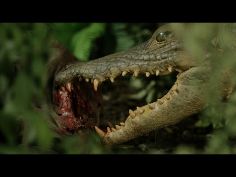 Солёные воды: Операция 'Матадор' - Официальный русский трейлер (2022)