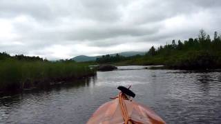 NFCT Kayakathon Day 16 Video - 20090615_10:02:59 - Nulhegan Pond