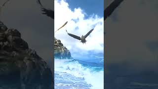 The Most Amazing Eagle Attacks Ever Recorded