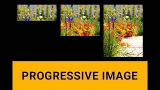 Progressive image: How to create progressive image in 1 minute