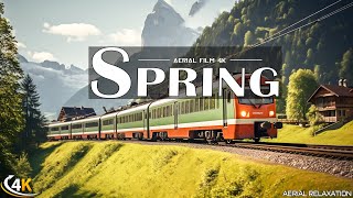 The Train in Spring Forest Ambience🌷RESTORATION OF THE NERVOUS SYSTEM, Healing music for health