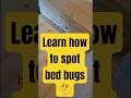 After this video, you’ll become your own bed bug inspector 😂