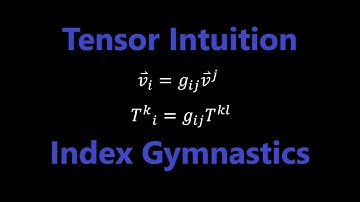 What is Index Raising and Lowering? | Tensor Intuition