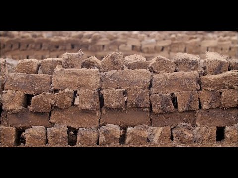 Video: Kā Sēklas Stādīt Kūdras Tabletēs