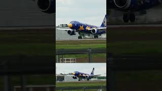🎢 Eurowings A320 „Europa-Park“ (9H-EUM) Landung – Welche Maus hebt da ab! 🐭✈️