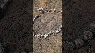 Pre-historic rock carvings (geo/petroglyphs) on Kudopi plateau,  Sindhudurg district,  Maharashtra