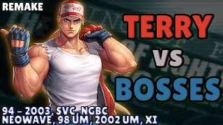 Terry vs Bosses (Remake)