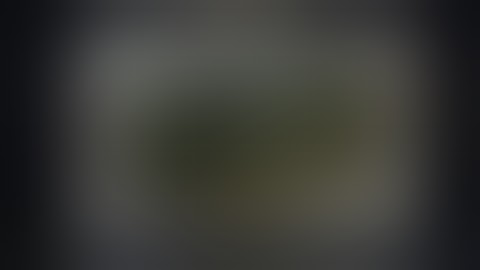 Treasure Map : Highway Side UNDAWN