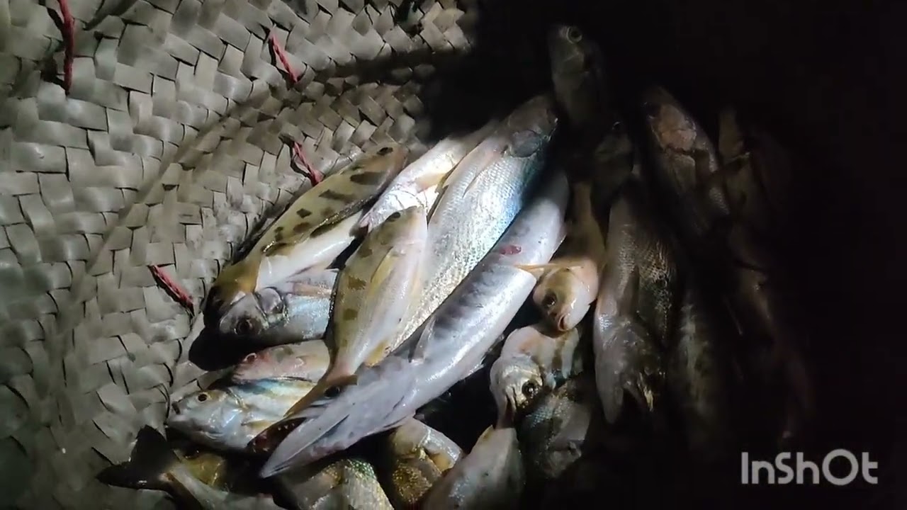 Sunhara fishing with night 🦈🐋🐬🐳🐟🐠14 . 2  2026 