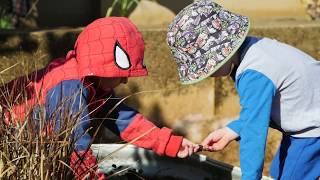 Connecting Early Learning And Care Centres And Schools - Aedc