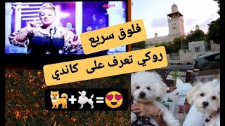 فلوق سريع ؟ | روكي تعرف على كاندي +=