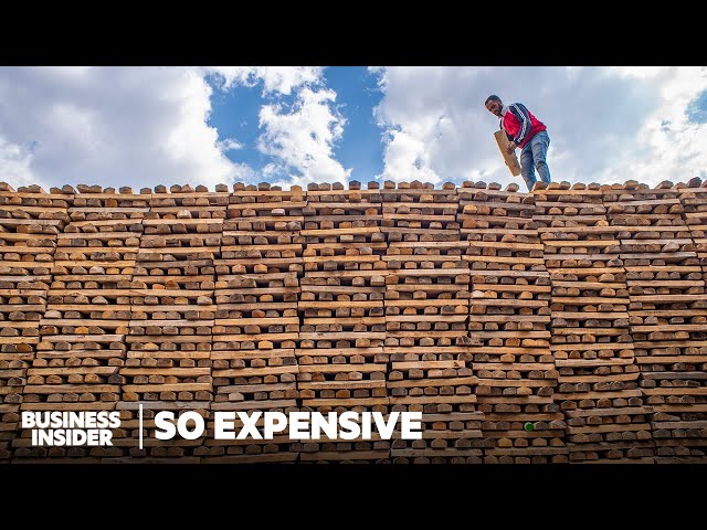 Why India's $12 Million Cricket Bat Industry Is Fueled By UK Trees | So Expensive | Business Insider class=