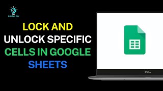 How to Lock and Unlock Specific Cells in Google Sheets Net Worth